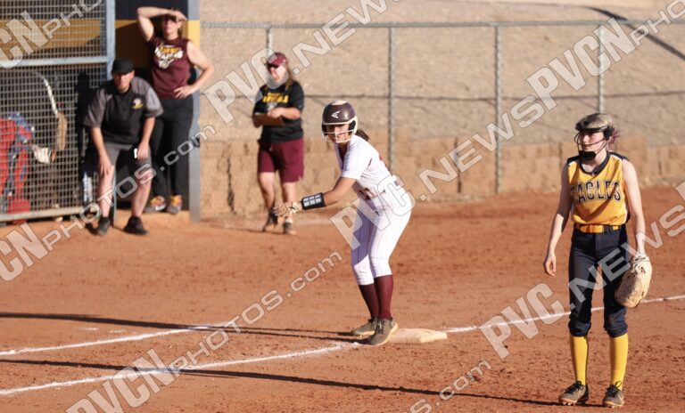 Lady Trojans Fall Just Short in Nail-Biting Playoff Battle Against Bulldogs